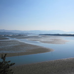 和歌浦干潟